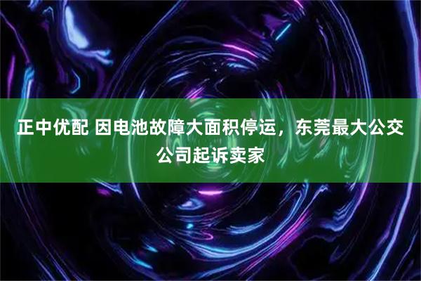 正中优配 因电池故障大面积停运，东莞最大公交公司起诉卖家