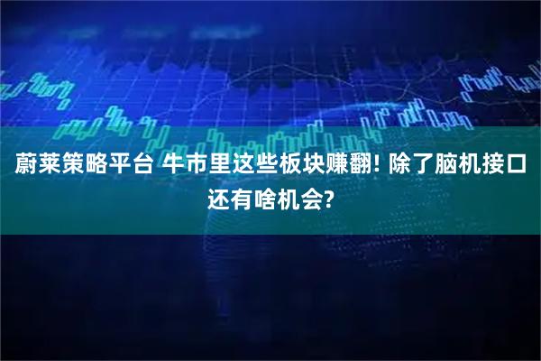 蔚莱策略平台 牛市里这些板块赚翻! 除了脑机接口还有啥机会?
